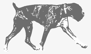 Click And Drag To Re-position The Image, If Desired - Boxer #2779194