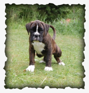 Picture - Matt Dallas Thinking Of You #2779195