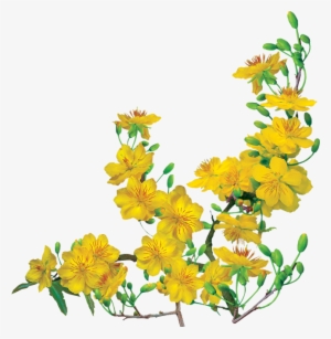 Xuan Giap Ngo 2014 #2780427