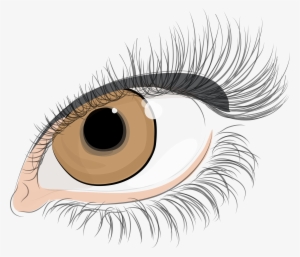 Clipart - Frases De Miltoner De Pestañas Largas #2780959