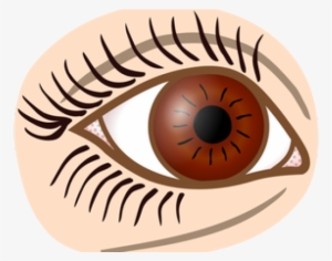 Auge Clipart Schwarz Weiß #2781066