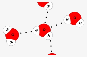 Water Molecule 4 Hydrogen Bonds #2781311