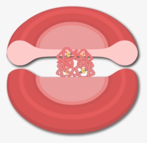 Svg Library Stock Blood Cell Clipart - Red Blood Cell #2781452