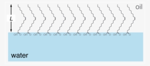 Fig Molecule Film - Film #2781768