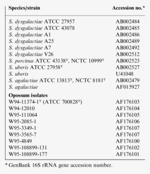 Streptococcal Strains Analysed For Comparison With - Opossum #2782511