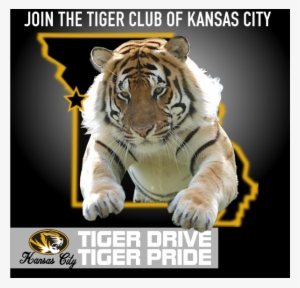 Free Jumping Tiger Png - Catch Me If You Can #2783258