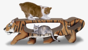 Imperial Cat Scratch Tiger #2784239