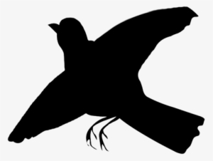 Flying Bird Silhouette Png Www Imgkid Com The Image - Vaux S Swift #2784593
