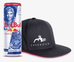 1 X Levi Sherwood Can - Red Bull Energy Drink, 250 Ml (pack #2784926