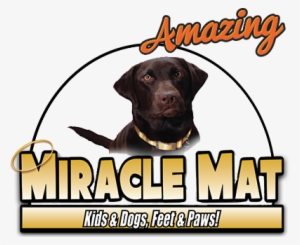 Miracle Mat - Mat #2784981