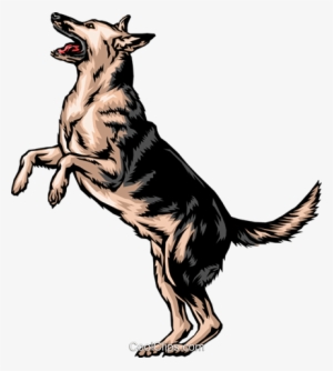 German Shepherd Royalty Free Vector Clip Art Illustration - German Shepherd Standing On Hind Legs #2785250