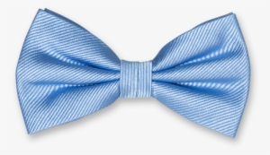 Noeud Papillon Bleu Clair #2785381