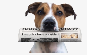 Packaging And Labeling #2785515