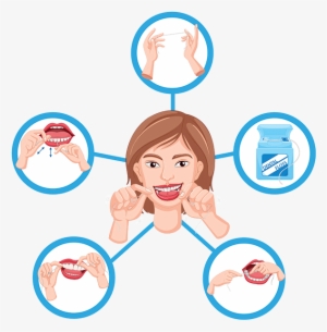 Proper Flossing Technique - Proceso De Limpieza De Dientes #2786130
