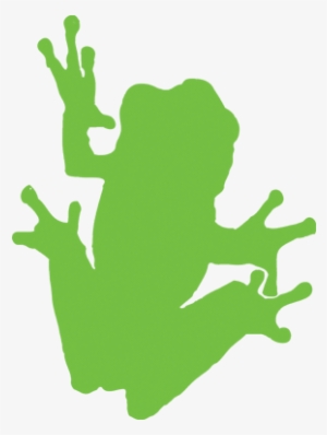 Tree Frog - Tree Frog Gallery & Natural Clothing #2787510