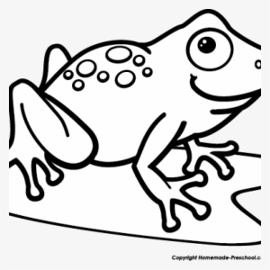 Black And White Frog Clipart 19 Tree Frog Png Transparent - Frog #2787587