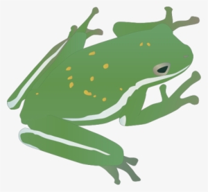 Hyla Cinerea - カエル イラスト フリー 商用 #2787994