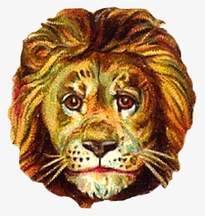 Lion Head Png Download - Masai Lion #2789588