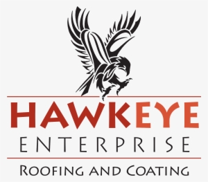 Hawkeye Enterprises Roofing & Coating - Good Father Book Cover #2790218