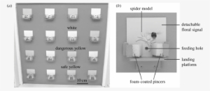 Experimental Set-up Showing The Artificial Meadow Containing - Monochrome #2790320