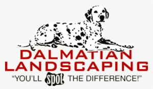 Dalmatian Landscaping Dalmatian Landscaping - Dalmatian Landscaping #2790541