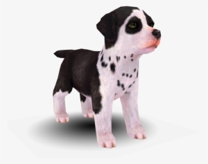 Download Zip Archive - Nintendogs + Cats #2790546