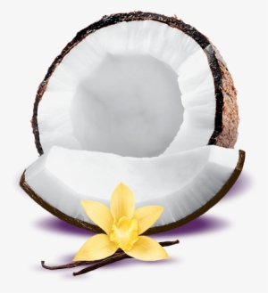 Post Navigation - Toasted Coconut Vanilla Yogurt #2790565