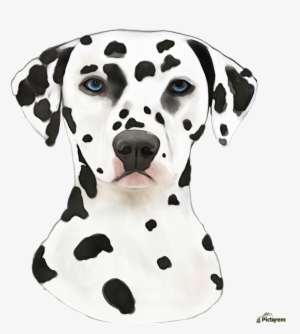 Canvas Print - Printing #2790694