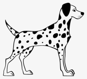 Perro Dalmata Para Dibujar #2790901 Perro Dalmata Para Dibujar #2790901