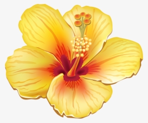 More Information - Tropical Flower Clipart #2791369