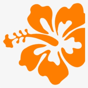 Hibiscus Png Hd - Orange Hibiscus Flower Png - Free Transparent PNG ...