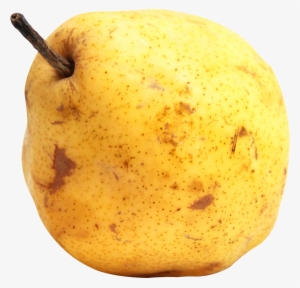 Pear Fruit Png Transparent Image - Portable Network Graphics #2792080