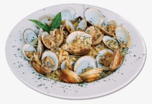 Plate-clams - Side Dish #2792634
