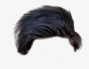 Hairstyles Png Transparent Images - All Types Hair Png #2792862