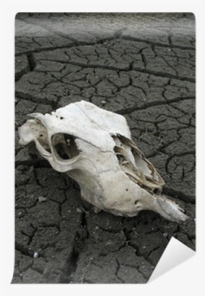 Global Warming #2793770