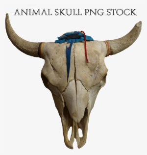 Animal Skull - Animal Skull Png #2793796