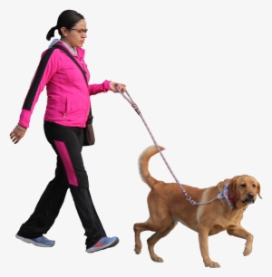 Walking Dog Png - Escala Latina Png #2793825