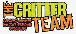 Dead Animal Removal Services - The Critter Team #2793974