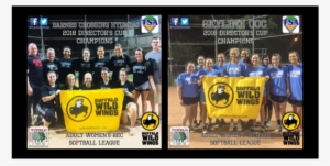 2018 Women's Director's Cup Champions #2795088