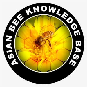 Bee - Harran Üniversitesi #2795368