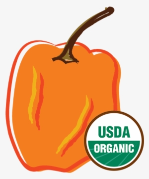 Organic Habanero Pepper - Health Ranger Select Freeze Dried Organic Banana (2oz) #2796059