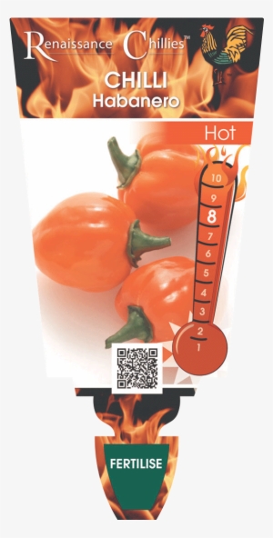 Chilli 'habanero' - Poster #2796224