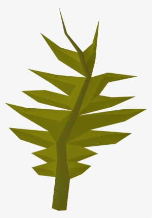 Seaweed Clipart Swamp - Wiki #2796504