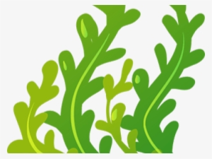 Seaweed Cliparts - Clip Art #2796507