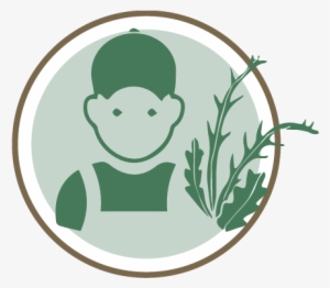 Increasing Farmer's Income - Illustration #2796682