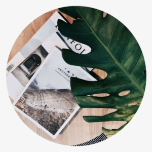 Shop My Instagram - Instagram #2798186