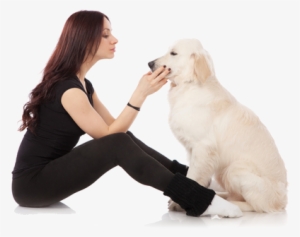 Vitahound Dog Lover And Her Lab - Golden Retriever #2799663