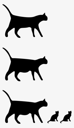 Drawn Black Cat Simple Draw - Cat Drawing Art Simple #280015