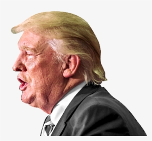 Trump - Donald Trump Fondo Blanco #280474
