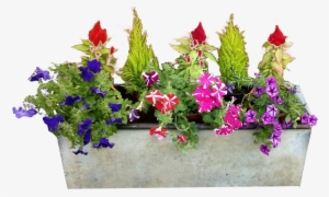 Background Png Image - Transparent Background Flower Pot Png #280562